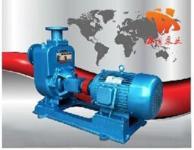 ���P��������۱�ZWP